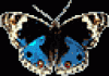 Images - 076